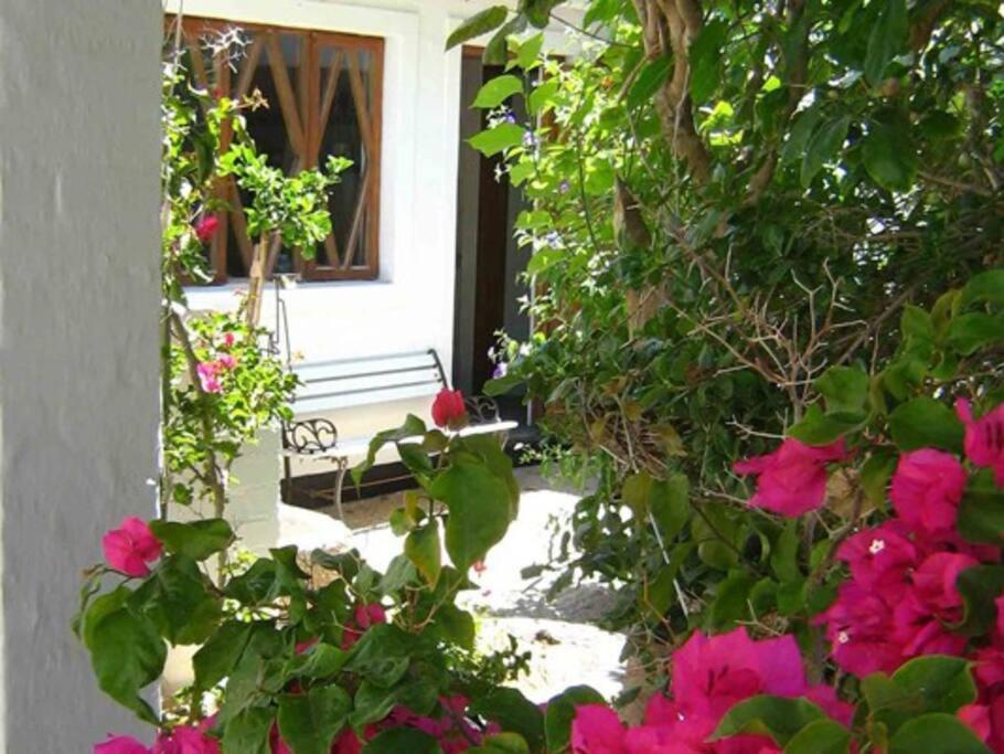 Alternative Space B & B Swakopmund Esterno foto