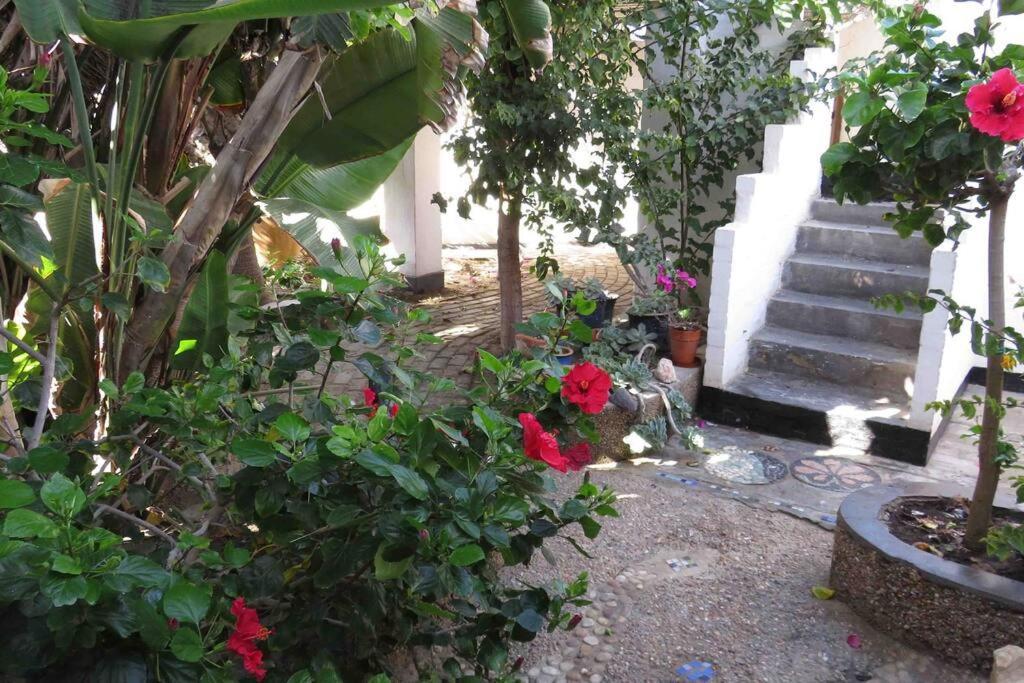 Alternative Space B & B Swakopmund Esterno foto