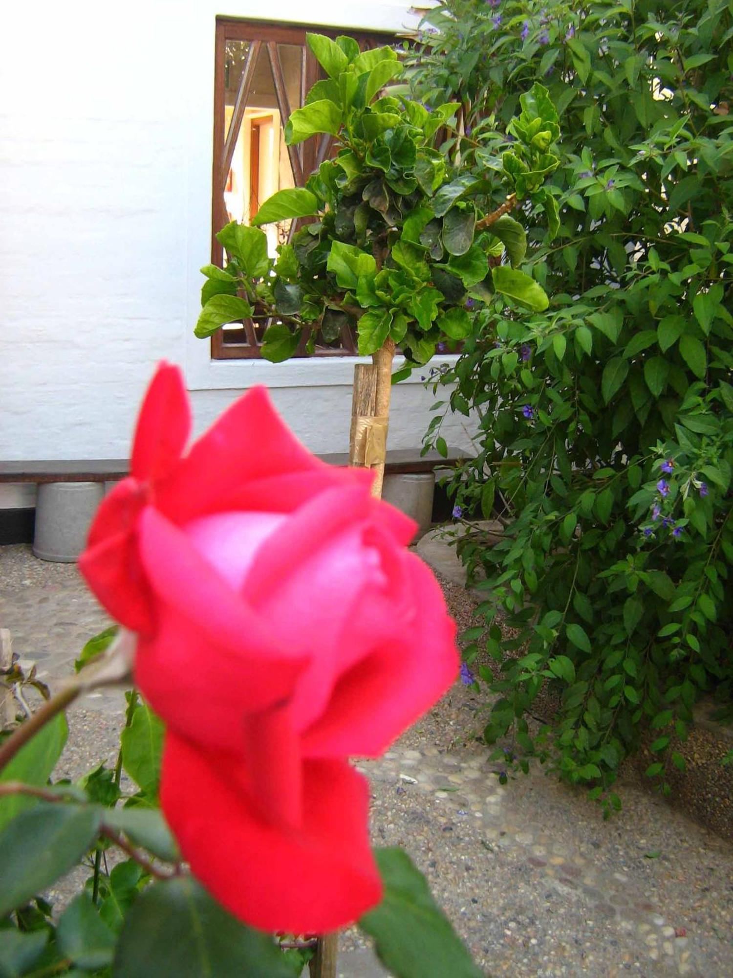 Alternative Space B & B Swakopmund Esterno foto