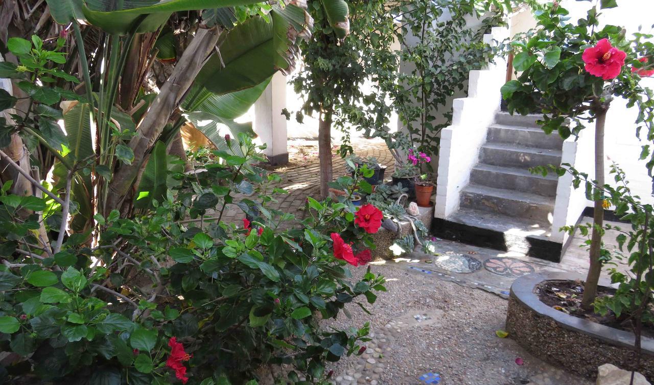Alternative Space B & B Swakopmund Esterno foto