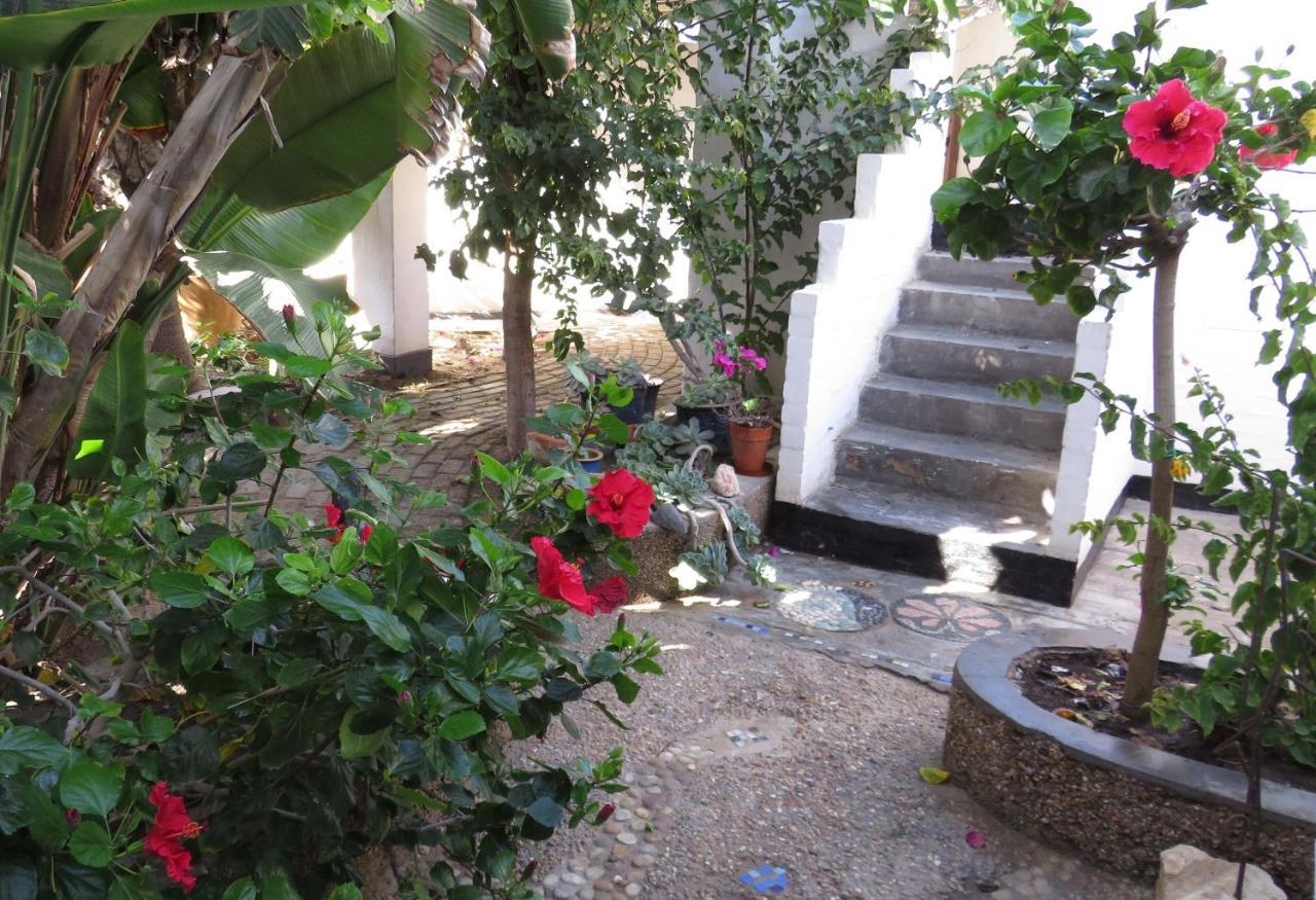 Alternative Space B & B Swakopmund Esterno foto
